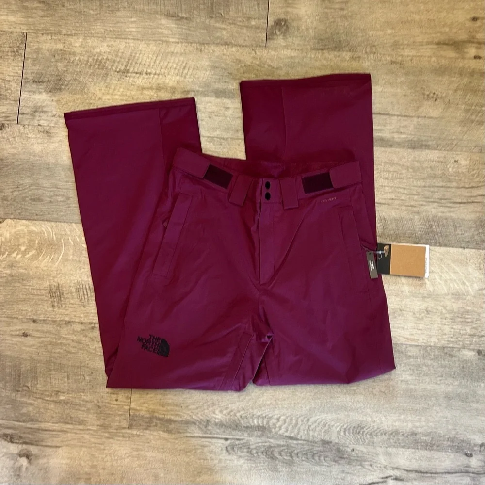 THE NORTH FACE Men's Freedom Stretch Pant, Boysenberry small/regular